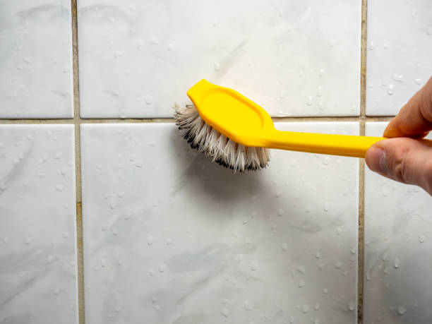 Best Residential Mold Remediation in Gretna, NE